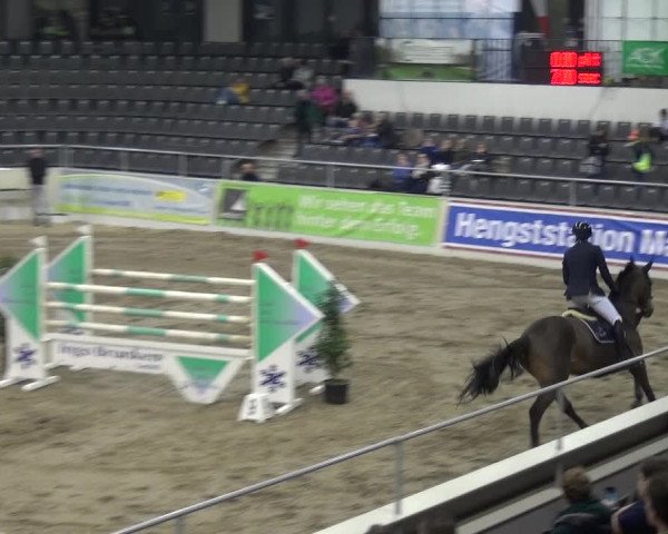 VER-Dinale 2018 - Verdener Hallenreitturnier