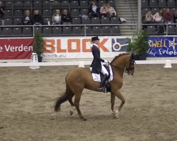 VER-Dinale 2018 - Verdener Hallenreitturnier