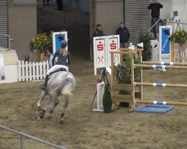 VER-Dinale 2018 - Verdener Hallenreitturnier