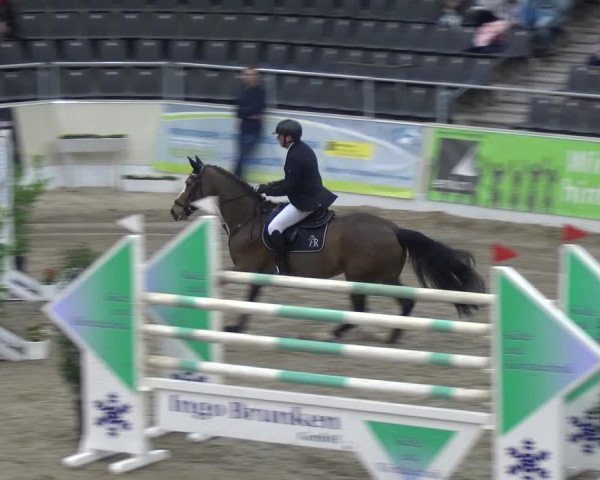 VER-Dinale 2018 - Verdener Hallenreitturnier