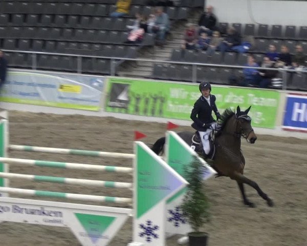 VER-Dinale 2018 - Verdener Hallenreitturnier