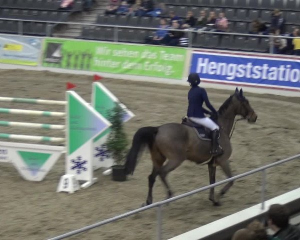 VER-Dinale 2018 - Verdener Hallenreitturnier