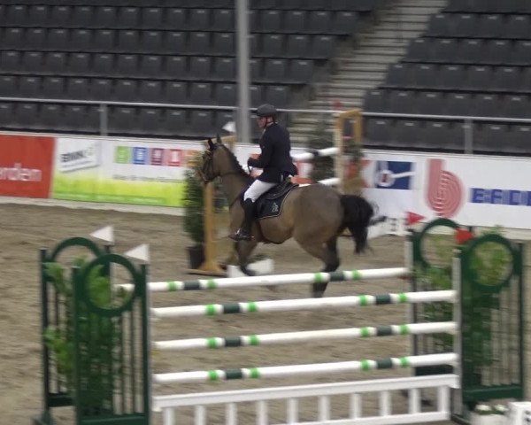 VER-Dinale 2018 - Verdener Hallenreitturnier