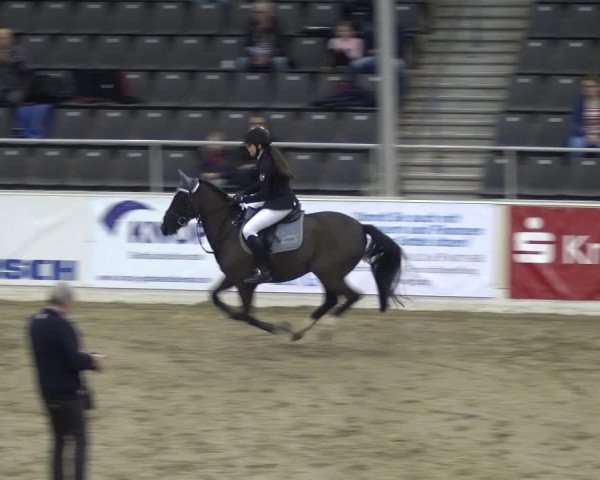 VER-Dinale 2018 - Verdener Hallenreitturnier