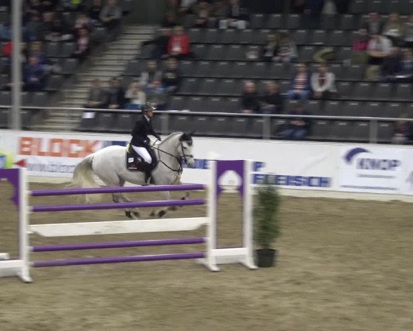 VER-Dinale 2018 - Verdener Hallenreitturnier