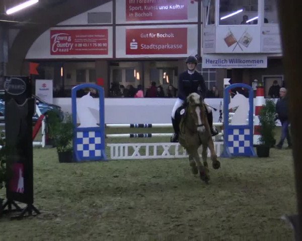Reitturnier Barlo-Bocholt 2018