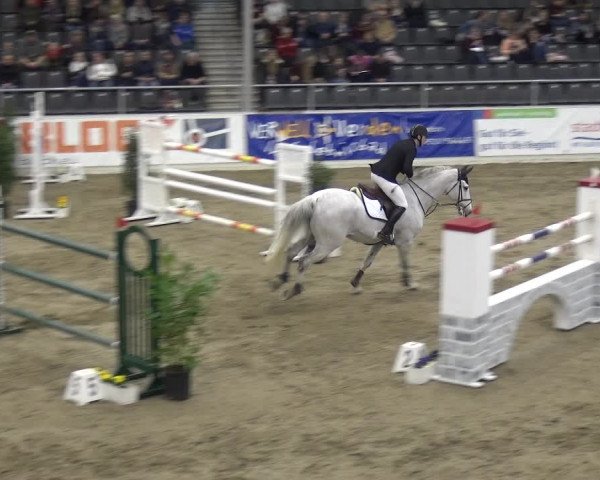 VER-Dinale 2018 - Verdener Hallenreitturnier