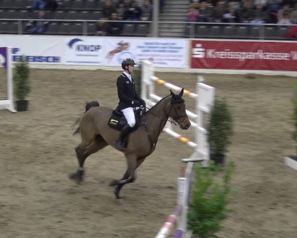 VER-Dinale 2018 - Verdener Hallenreitturnier