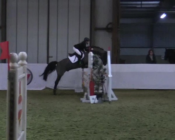 Reitturnier Barlo-Bocholt 2018