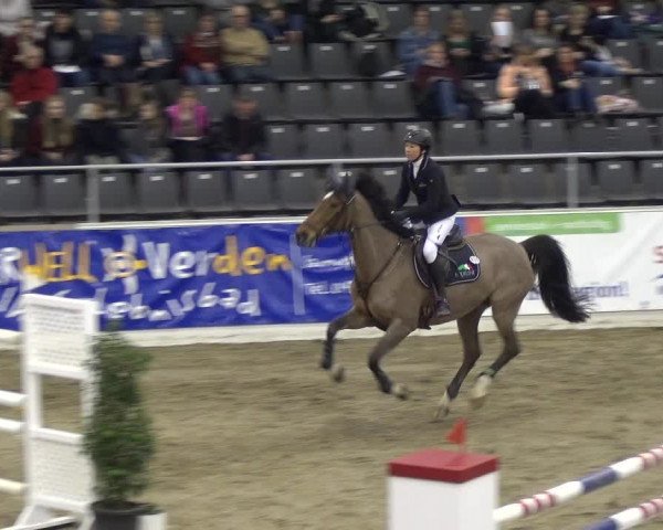 VER-Dinale 2018 - Verdener Hallenreitturnier