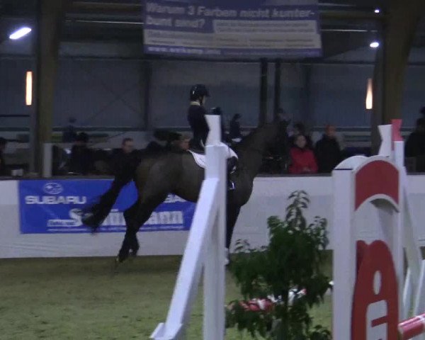Reitturnier Barlo-Bocholt 2018