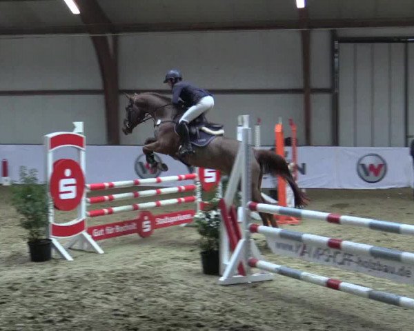 Reitturnier Barlo-Bocholt 2018
