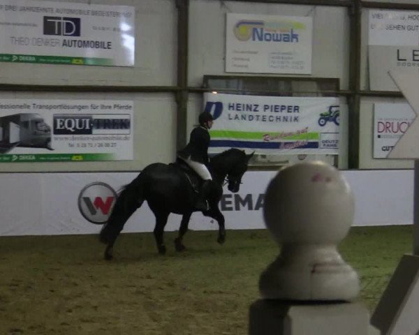 Reitturnier Barlo-Bocholt 2018