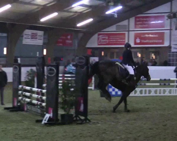 Reitturnier Barlo-Bocholt 2018