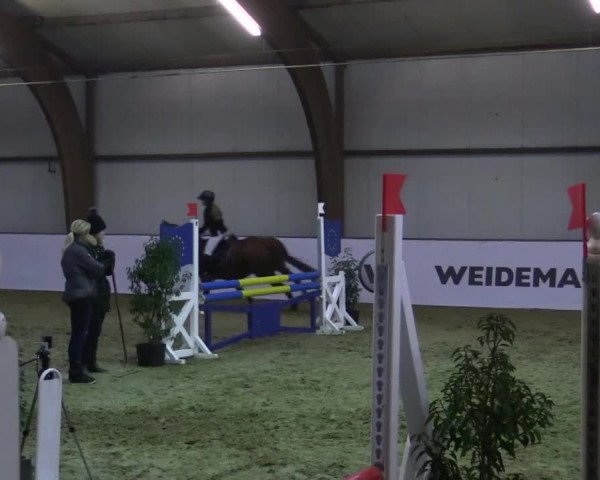 Reitturnier Barlo-Bocholt 2018