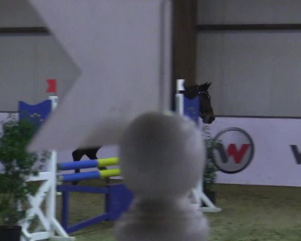 Reitturnier Barlo-Bocholt 2018