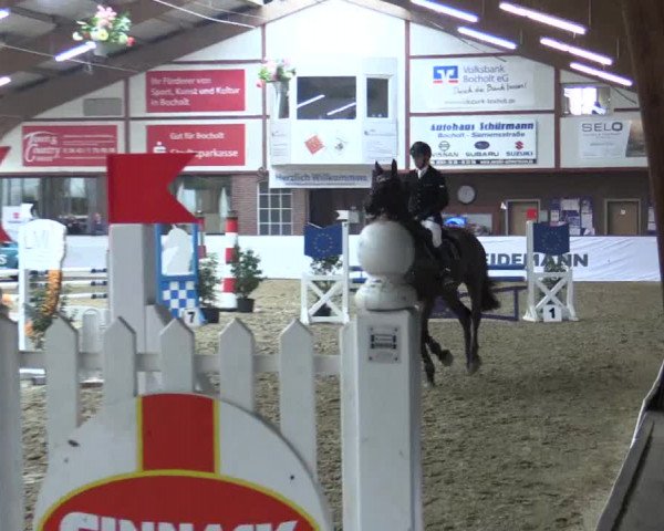 Reitturnier Barlo-Bocholt 2018