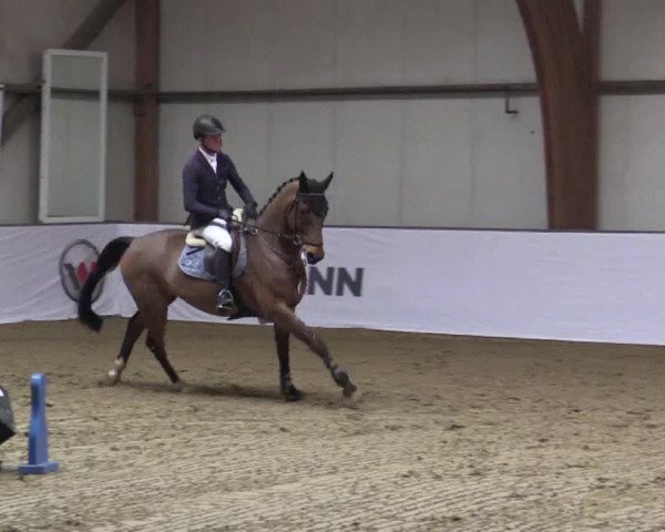 Reitturnier Barlo-Bocholt 2018