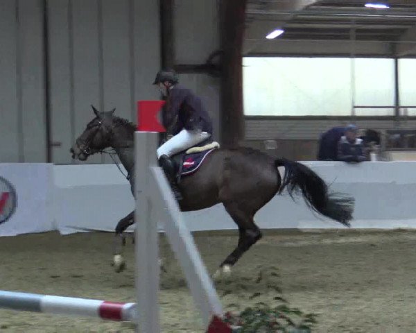 Reitturnier Barlo-Bocholt 2018