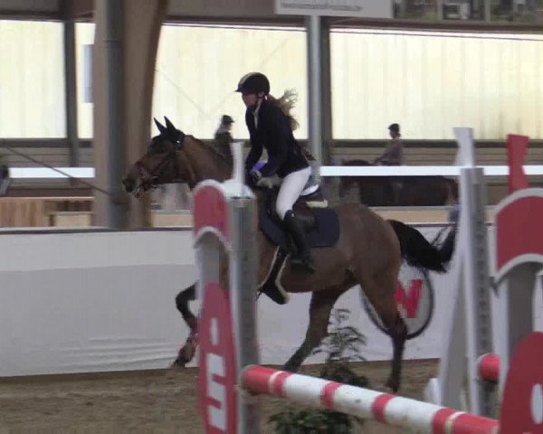 Reitturnier Barlo-Bocholt 2018