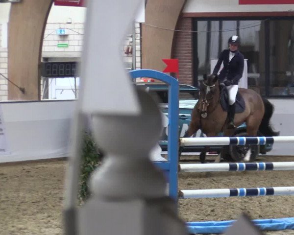 Reitturnier Barlo-Bocholt 2018