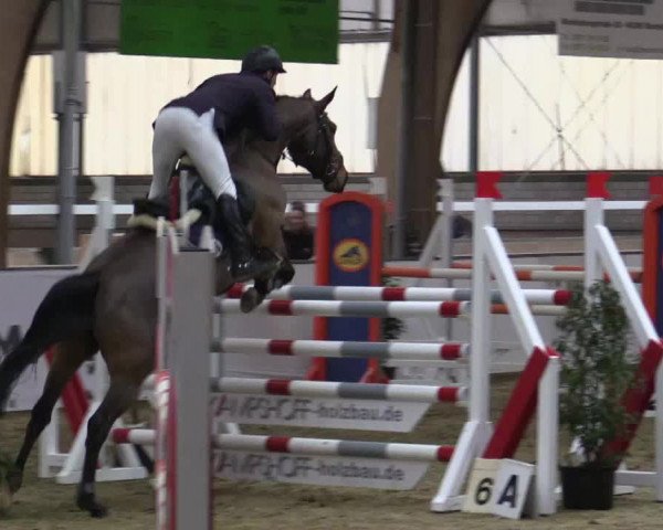 Reitturnier Barlo-Bocholt 2018