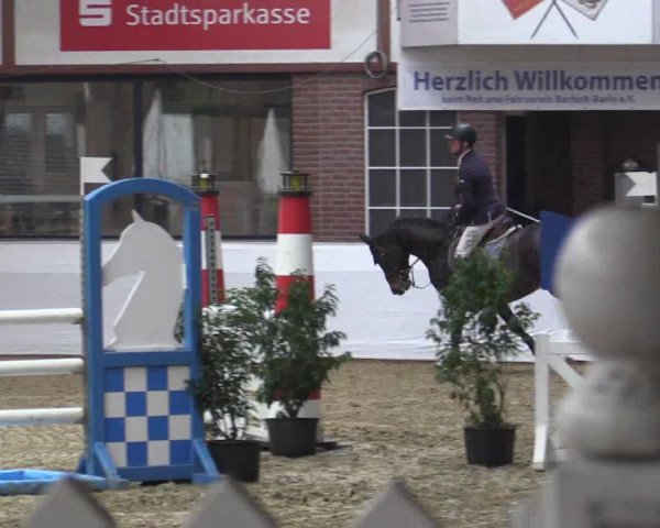 Reitturnier Barlo-Bocholt 2018