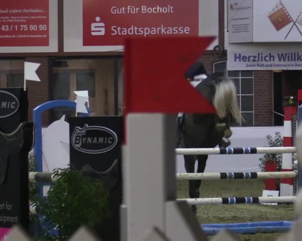 Reitturnier Barlo-Bocholt 2018