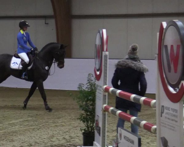 Reitturnier Barlo-Bocholt 2018