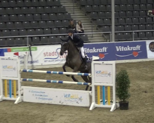 VER-Dinale 2018 - Verdener Hallenreitturnier