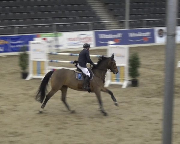 VER-Dinale 2018 - Verdener Hallenreitturnier
