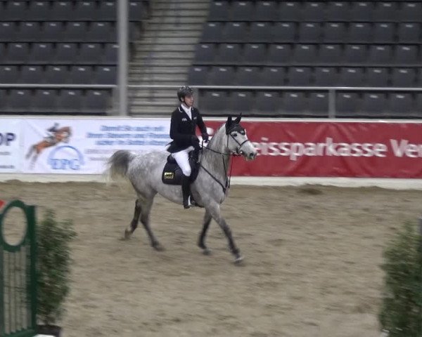 VER-Dinale 2018 - Verdener Hallenreitturnier
