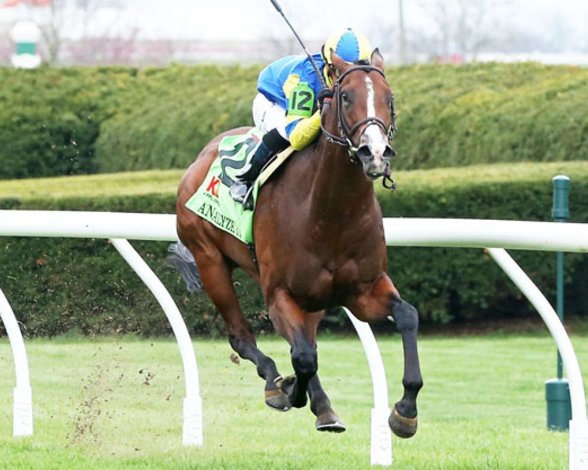 broodmare Analyze xx (Thoroughbred, 2014, from Candy Ride xx)