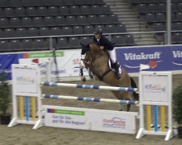 VER-Dinale 2018 - Verdener Hallenreitturnier