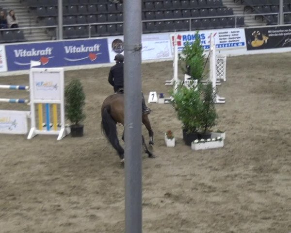 VER-Dinale 2018 - Verdener Hallenreitturnier