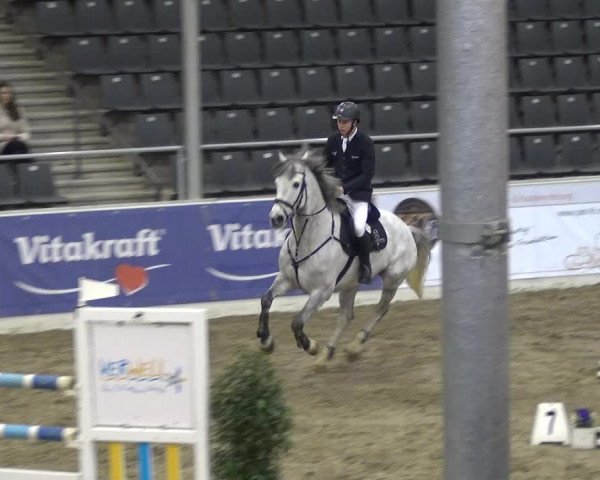 VER-Dinale 2018 - Verdener Hallenreitturnier
