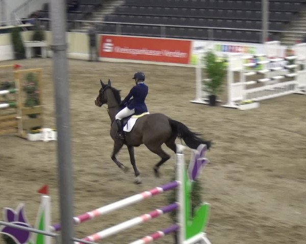 VER-Dinale 2018 - Verdener Hallenreitturnier