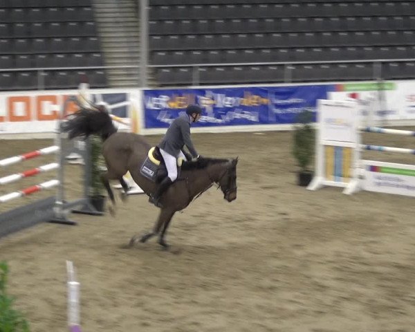 VER-Dinale 2018 - Verdener Hallenreitturnier