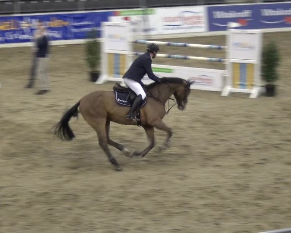 VER-Dinale 2018 - Verdener Hallenreitturnier