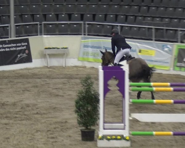 VER-Dinale 2018 - Verdener Hallenreitturnier