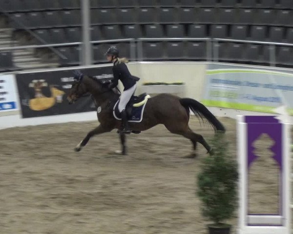 VER-Dinale 2018 - Verdener Hallenreitturnier