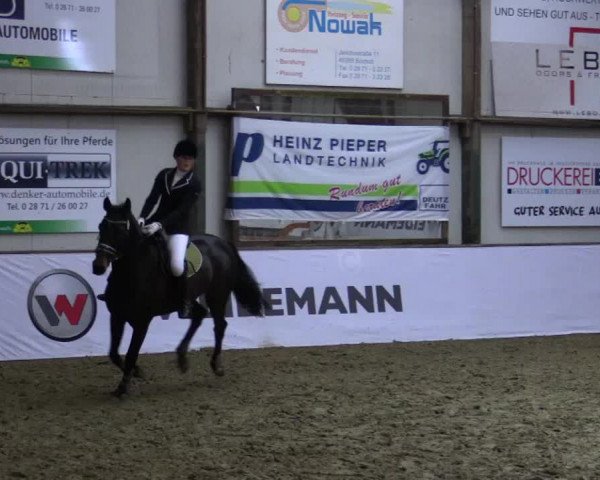 Reitturnier Barlo-Bocholt 2018