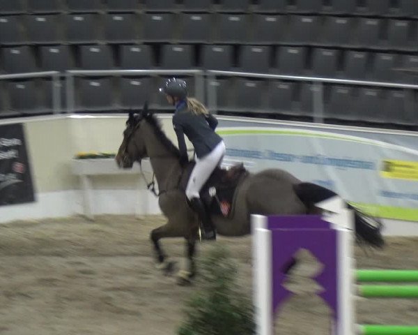 VER-Dinale 2018 - Verdener Hallenreitturnier