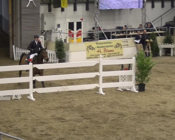 VER-Dinale 2018 - Verdener Hallenreitturnier