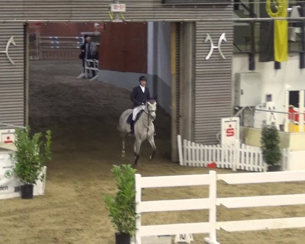 VER-Dinale 2018 - Verdener Hallenreitturnier