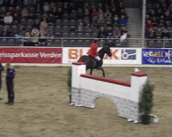 VER-Dinale 2018 - Verdener Hallenreitturnier