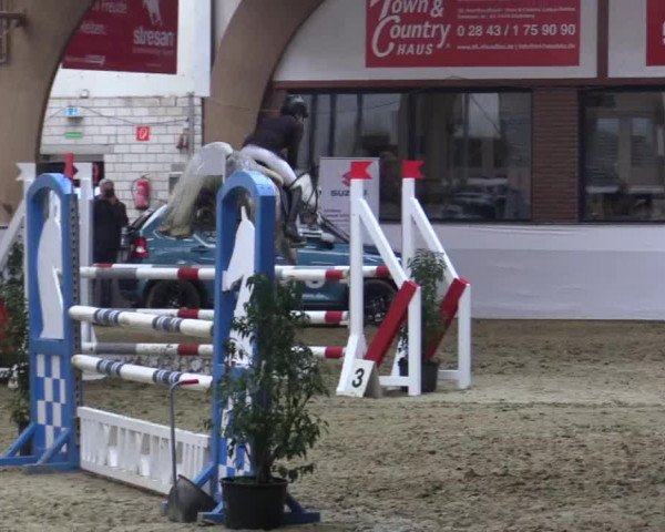 Reitturnier Barlo-Bocholt 2018