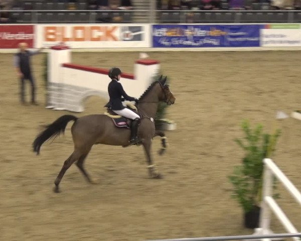 VER-Dinale 2018 - Verdener Hallenreitturnier