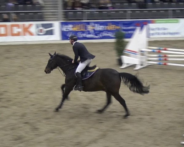 VER-Dinale 2018 - Verdener Hallenreitturnier