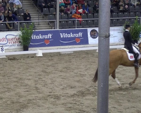 VER-Dinale 2018 - Verdener Hallenreitturnier